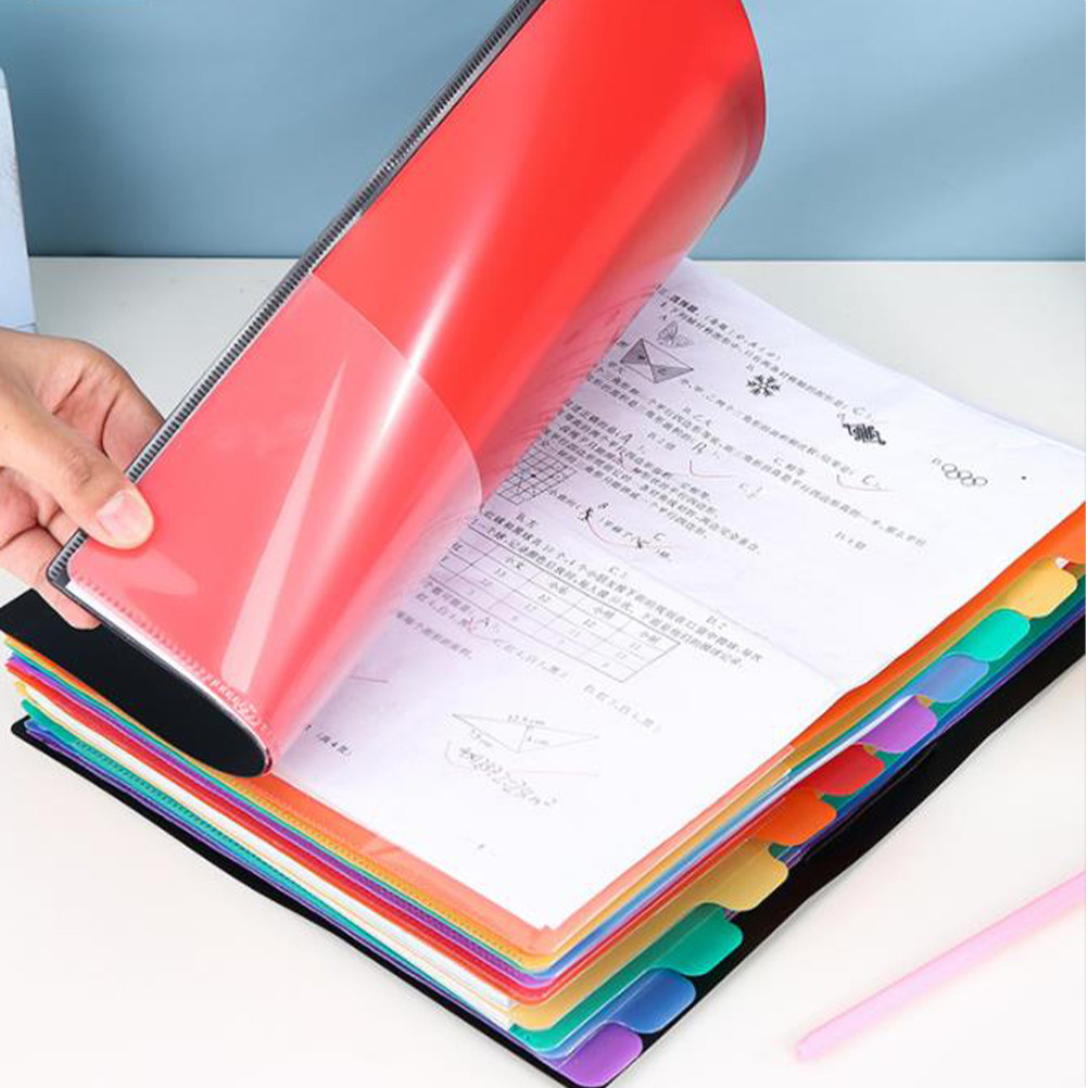 منظم مستندات، ملف بلاستيكي بحج - مراجعة Home Office Travel Document وسعره